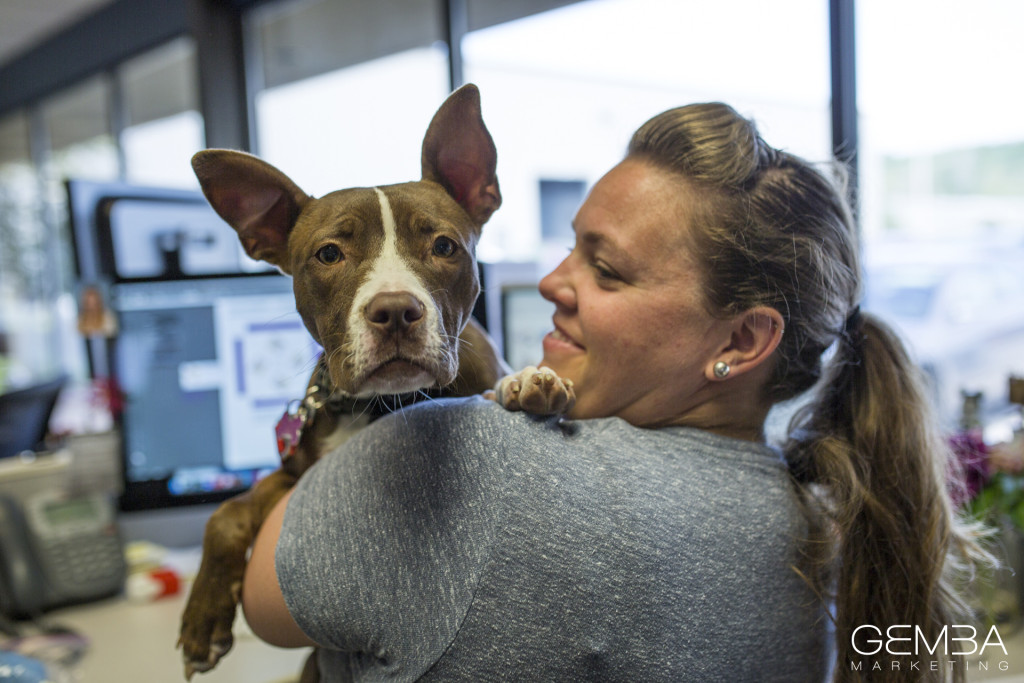 IT’S TAKE YOUR DOG TO WORK DAY, PEOPLE. REJOICE.
